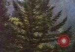 Immagine di Cascata visto dal treno Amtrak United States USA, 1985, secondo 9 filmato di repertorio 65675027197