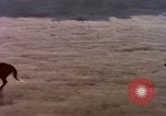 Image of man United States USA, 1985, second 56 stock footage video 65675027201