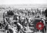 Image British Essex Regiment France, 1918, de la seconde 17 séquences d'archives historiques vidéo 65675027213
