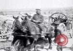 Image British Essex Regiment France, 1918, de la seconde 42 séquences d'archives historiques vidéo 65675027213