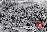 Image London Stock Exchange bataillon d'amis pendant Première Guerre Mondiale France, 1918, de la seconde 17 séquences d'archives historiques vidéo 65675027215
