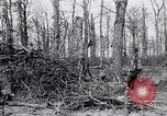 Image of British soldiers France, 1918, second 17 stock footage video 65675027222