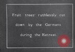 Image fruits arbres coupés France, 1917, de la seconde 1 séquences d'archives historiques vidéo 65675027247
