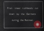 Image fruits arbres coupés France, 1917, de la seconde 3 séquences d'archives historiques vidéo 65675027247