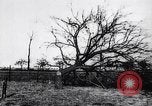 Image fruits arbres coupés France, 1917, de la seconde 7 séquences d'archives historiques vidéo 65675027247