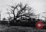 Image fruits arbres coupés France, 1917, de la seconde 9 séquences d'archives historiques vidéo 65675027247