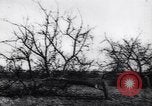 Image fruits arbres coupés France, 1917, de la seconde 17 séquences d'archives historiques vidéo 65675027247