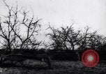 Image fruits arbres coupés France, 1917, de la seconde 19 séquences d'archives historiques vidéo 65675027247