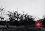 Image fruits arbres coupés France, 1917, de la seconde 22 séquences d'archives historiques vidéo 65675027247