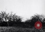 Image fruits arbres coupés France, 1917, de la seconde 25 séquences d'archives historiques vidéo 65675027247