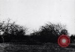 Image fruits arbres coupés France, 1917, de la seconde 27 séquences d'archives historiques vidéo 65675027247
