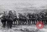 Standbild Französische Artillerie positioniert wird Monchy Frankreich, 1915, aus Sekunde 11 historischem Filmmaterial Videoclip 65675027252