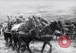 Standbild Französische Artillerie positioniert wird Monchy Frankreich, 1915, aus Sekunde 13 historischem Filmmaterial Videoclip 65675027252