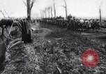 Image of British troops advance toward Hindenburg line France, 1917, second 21 stock footage video 65675027255