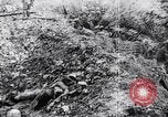 Image of The Queen's Own Royal West Kent Regiment France, 1917, second 14 stock footage video 65675027257