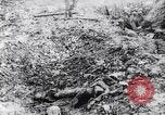 Image of The Queen's Own Royal West Kent Regiment France, 1917, second 19 stock footage video 65675027257