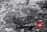 Image of The Queen's Own Royal West Kent Regiment France, 1917, second 23 stock footage video 65675027257