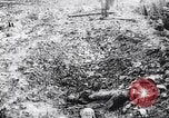 Image of The Queen's Own Royal West Kent Regiment France, 1917, second 24 stock footage video 65675027257