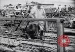 Image of French soldiers France, 1918, second 24 stock footage video 65675027285