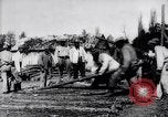 Image of French engineers and soldiers  France, 1916, second 12 stock footage video 65675027288