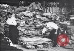 Image of French mobilization for war France, 1915, second 48 stock footage video 65675027290