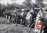 Image of French army hand grenades France, 1916, second 32 stock footage video 65675027296