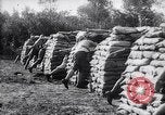 Image of French army hand grenades France, 1916, second 33 stock footage video 65675027296