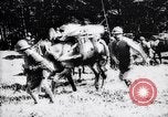 Image of French soldiers France, 1916, second 22 stock footage video 65675027305