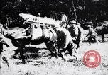 Image of French soldiers France, 1916, second 23 stock footage video 65675027305