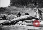 Image of French soldiers unfolding uninflated observation balloon France, 1916, second 43 stock footage video 65675027329