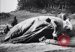 Image of French soldiers unfolding uninflated observation balloon France, 1916, second 49 stock footage video 65675027329