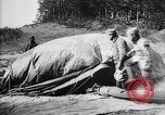Image of French soldiers unfolding uninflated observation balloon France, 1916, second 51 stock footage video 65675027329