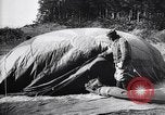 Image of French soldiers unfolding uninflated observation balloon France, 1916, second 53 stock footage video 65675027329