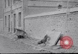Standbild französischen Soldaten mit Hund Frankreich, 1914, aus Sekunde 17 historischem Filmmaterial Videoclip 65675027374