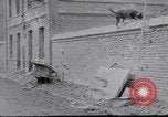 Standbild französischen Soldaten mit Hund Frankreich, 1914, aus Sekunde 19 historischem Filmmaterial Videoclip 65675027374
