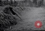 Image of Concealed artillery France, 1914, second 17 stock footage video 65675027375