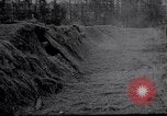 Image of Concealed artillery France, 1914, second 20 stock footage video 65675027375