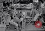 Image of Concealed artillery France, 1914, second 25 stock footage video 65675027375