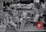 Image of Concealed artillery France, 1914, second 26 stock footage video 65675027375