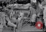 Image of Concealed artillery France, 1914, second 28 stock footage video 65675027375