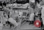Image of Concealed artillery France, 1914, second 29 stock footage video 65675027375