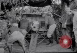 Image of Concealed artillery France, 1914, second 31 stock footage video 65675027375
