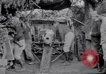Image of Concealed artillery France, 1914, second 33 stock footage video 65675027375