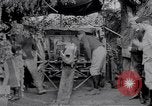 Image of Concealed artillery France, 1914, second 34 stock footage video 65675027375
