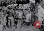Image of Concealed artillery France, 1914, second 35 stock footage video 65675027375