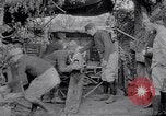 Image of Concealed artillery France, 1914, second 45 stock footage video 65675027375
