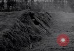 Image of Concealed artillery France, 1914, second 58 stock footage video 65675027375