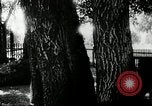 Image Ku Klux Klan formation United States USA, 1916, de la seconde 22 séquences d'archives historiques vidéo 65675027385