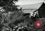 Image Ku Klux Klan assembler South Carolina United States USA, 1916, de la seconde 15 séquences d'archives historiques vidéo 65675027390