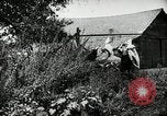 Image Ku Klux Klan assembler South Carolina United States USA, 1916, de la seconde 16 séquences d'archives historiques vidéo 65675027390
